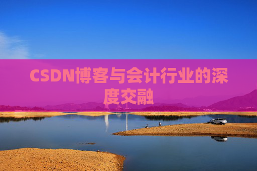 CSDN博客与会计行业的深度交融